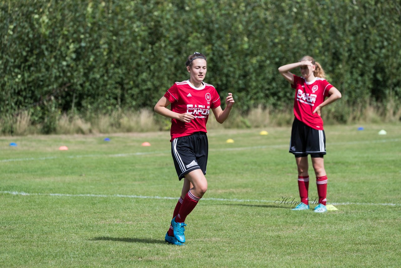 Bild 83 - Frauen SG NieBar - HSV 2 : Ergebnis: 4:3